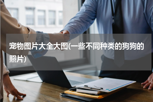 宠物图片大全大图(一些不同种类的狗狗的照片)