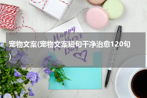 宠物文案(宠物文案短句干净治愈120句)