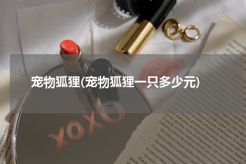宠物狐狸(宠物狐狸一只多少元)