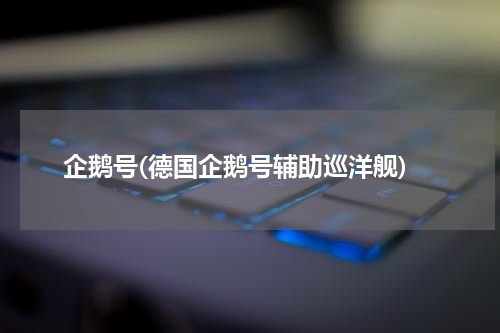 企鹅号(德国企鹅号辅助巡洋舰)