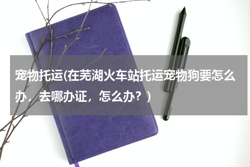 宠物托运(在芜湖火车站托运宠物狗要怎么办,去哪办证,怎么办?)