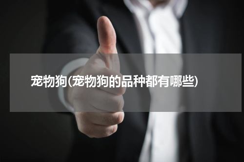 宠物狗(宠物狗的品种都有哪些)