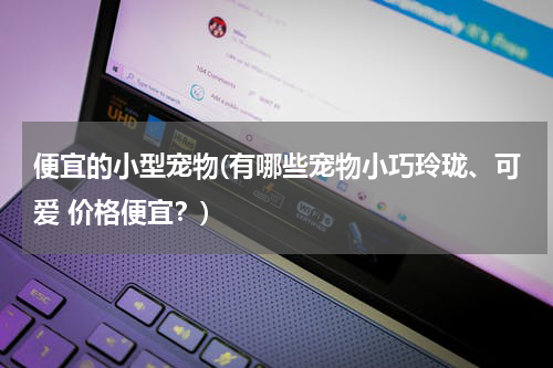 便宜的小型宠物(有哪些宠物小巧玲珑、可爱 价格便宜?)