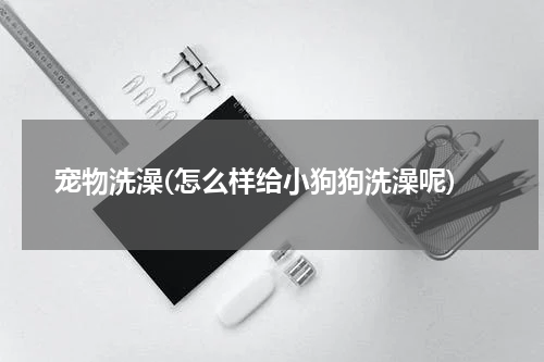 宠物洗澡(怎么样给小狗狗洗澡呢)