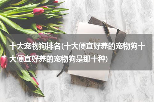 十大宠物狗排名(十大便宜好养的宠物狗十大便宜好养的宠物狗是那十种)