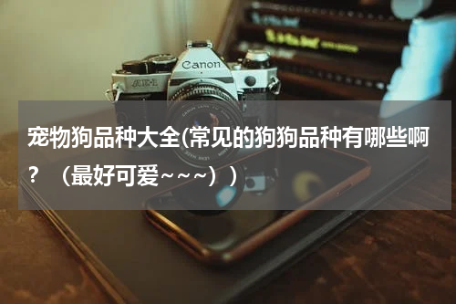 宠物狗品种大全(常见的狗狗品种有哪些啊?(最好可爱~~~))