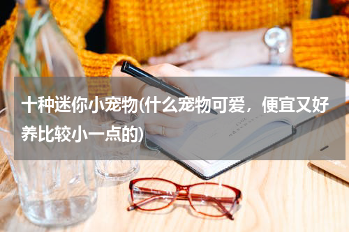 十种迷你小宠物(什么宠物可爱,便宜又好养比较小一点的)