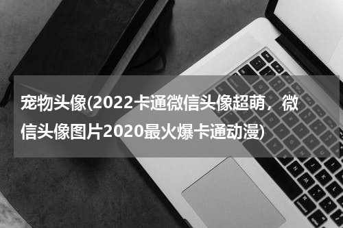 宠物头像(2022卡通微信头像超萌,微信头像图片2020最火爆卡通动漫)
