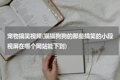 宠物搞笑视频(猫猫狗狗的那些搞笑的小段视屏在哪个网站能下到)