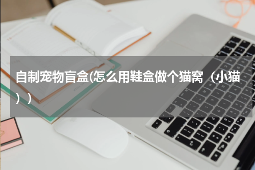 自制宠物盲盒(怎么用鞋盒做个猫窝(小猫))