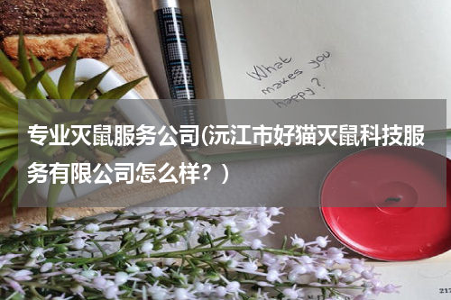 专业灭鼠服务公司(沅江市好猫灭鼠科技服务有限公司怎么样?)