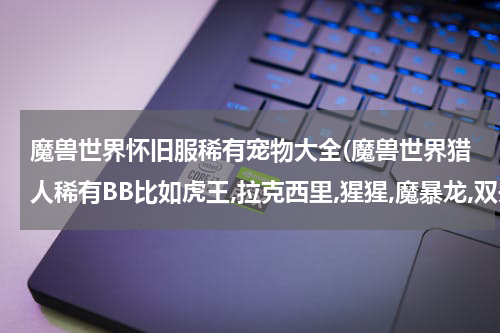魔兽世界怀旧服稀有宠物大全(魔兽世界猎人稀有BB比如虎王,拉克西里,猩猩,魔暴龙,双头犬都是在哪抓...)