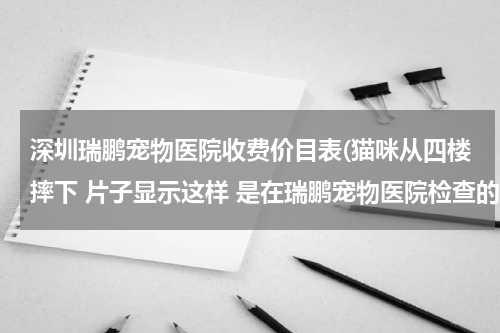 深圳瑞鹏宠物医院收费价目表(猫咪从四楼摔下 片子显示这样 是在瑞鹏宠物医院检查的 医生说要做手术 4000多块 是不是收贵了)