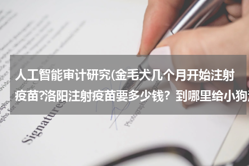 人工智能审计研究(金毛犬几个月开始注射疫苗?洛阳注射疫苗要多少钱?到哪里给小狗注射疫苗?)
