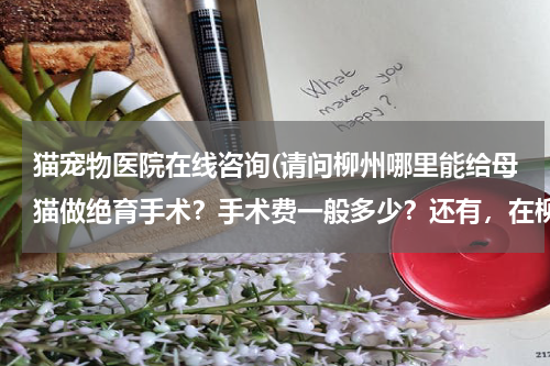 猫宠物医院在线咨询(请问柳州哪里能给母猫做绝育手术?手术费一般多少?还有,在柳州哪个宠物医院能治疗鹦鹉疾病的?)