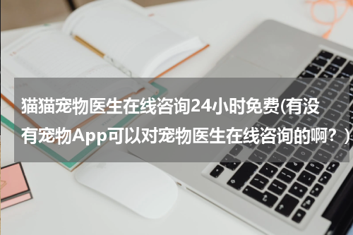 猫猫宠物医生在线咨询24小时免费(有没有宠物App可以对宠物医生在线咨询的啊?)