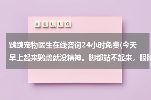 鹦鹉宠物医生在线咨询24小时免费(今天早上起来鹦鹉就没精神。脚都站不起来,眼睛闭着 怎么办啊?)