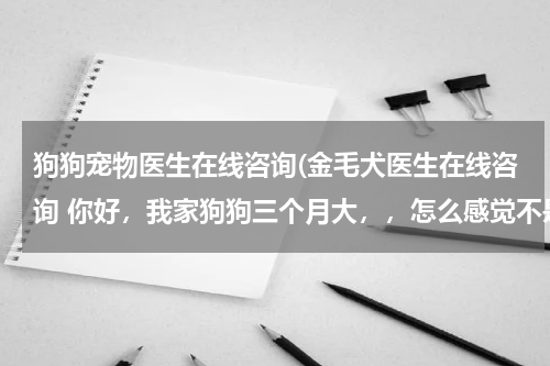 狗狗宠物医生在线咨询(金毛犬医生在线咨询 你好,我家狗狗三个月大,,怎么感觉不是很爱吃东西呢?,这是怎么回事?)