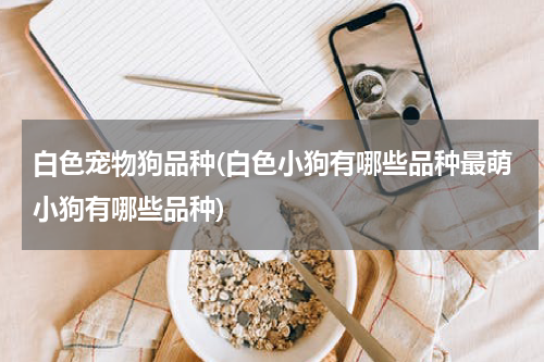 白色宠物狗品种(白色小狗有哪些品种最萌小狗有哪些品种)
