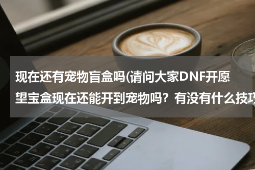 现在还有宠物盲盒吗(请问大家DNF开愿望宝盒现在还能开到宠物吗?有没有什么技巧呢?)