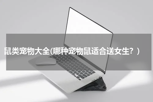 鼠类宠物大全(哪种宠物鼠适合送女生?)