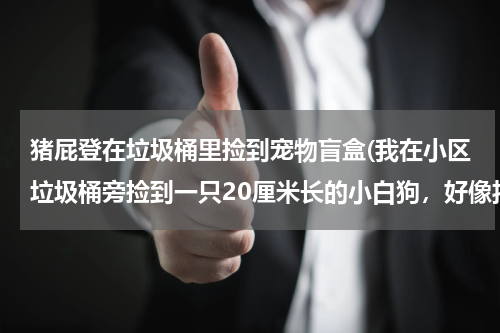 猪屁登在垃圾桶里捡到宠物盲盒(我在小区垃圾桶旁捡到一只20厘米长的小白狗,好像拉稀,怎么样才能让他活下去??)