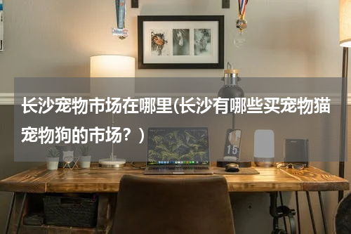 长沙宠物市场在哪里(长沙有哪些买宠物猫宠物狗的市场?)