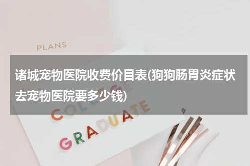 诸城宠物医院收费价目表(狗狗肠胃炎症状去宠物医院要多少钱)
