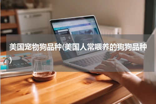 美国宠物狗品种(美国人常喂养的狗狗品种)
