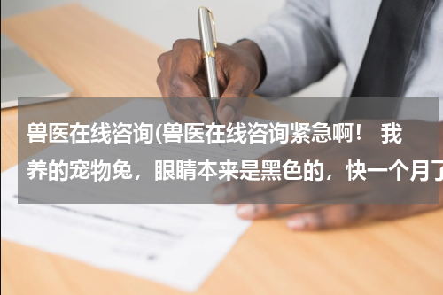 兽医在线咨询(兽医在线咨询紧急啊! 我养的宠物兔,眼睛本来是黑色的,快一个月了,今天兔子的眼睛变蓝色了,怎么办啊?)