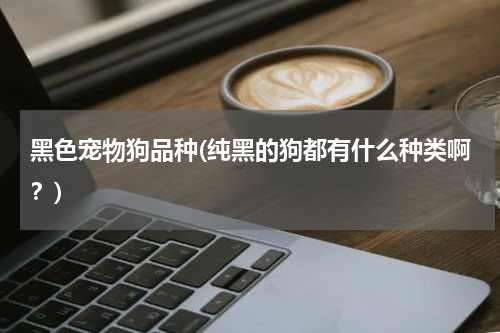 黑色宠物狗品种(纯黑的狗都有什么种类啊?)