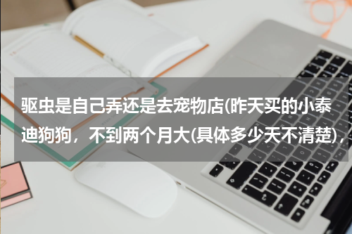驱虫是自己弄还是去宠物店(昨天买的小泰迪狗狗,不到两个月大(具体多少天不清楚),什么驱虫,育苗,狂犬都没做过,澡好像都没洗过)