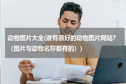 动物图片大全(谁有很好的动物图片网站?(图片与动物名称都有的))