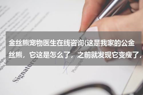 金丝熊宠物医生在线咨询(这是我家的公金丝熊,它这是怎么了,之前就发现它变瘦了,我也给它买了营养的吃的,但是今天发现?)