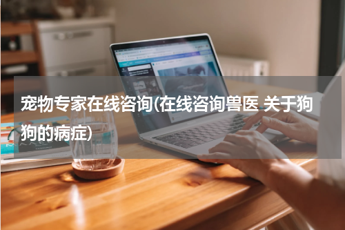 宠物专家在线咨询(在线咨询兽医 关于狗狗的病症)