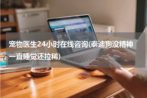 宠物医生24小时在线咨询(泰迪狗没精神一直睡觉还拉稀)