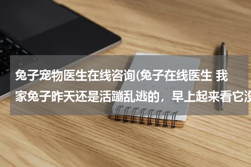 兔子宠物医生在线咨询(兔子在线医生 我家兔子昨天还是活蹦乱逃的,早上起来看它没有那么活泼,发现它呼吸急促,后来有点拉稀,)