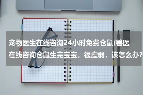 宠物医生在线咨询24小时免费仓鼠(兽医在线咨询仓鼠生完宝宝,很虚弱,该怎么办?)