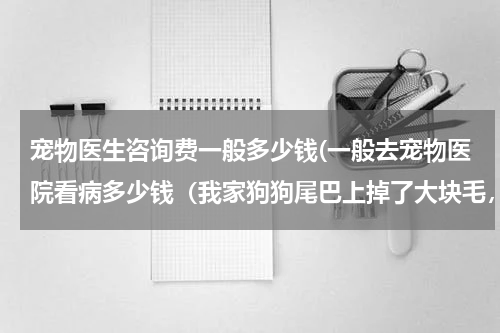 宠物医生咨询费一般多少钱(一般去宠物医院看病多少钱(我家狗狗尾巴上掉了大块毛,挺严重))
