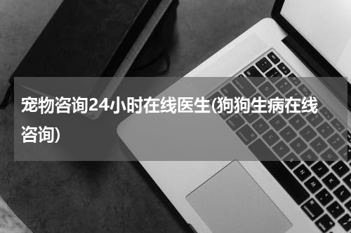 宠物咨询24小时在线医生(狗狗生病在线咨询)