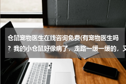 仓鼠宠物医生在线咨询免费(有宠物医生吗?我的小仓鼠好像病了,走路一缓一缓的,又不爱吃饭,整天一个人静静的趴着,我要怎么办啊?)