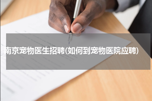 南京宠物医生招聘(如何到宠物医院应聘)