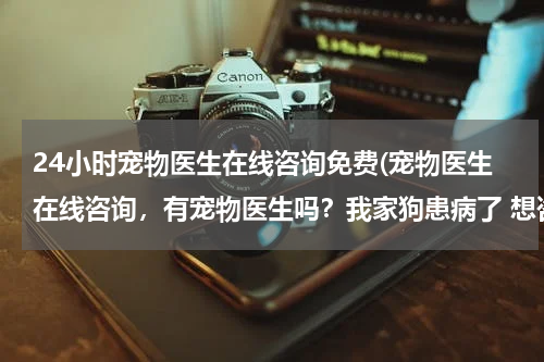 24小时宠物医生在线咨询免费(宠物医生在线咨询,有宠物医生吗?我家狗患病了 想咨询一下?)