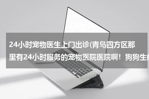 24小时宠物医生上门出诊(青岛四方区那里有24小时服务的宠物医院医院啊!狗狗生病了 谢谢!)