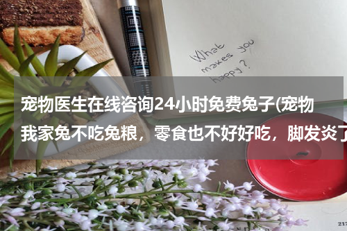 宠物医生在线咨询24小时免费兔子(宠物我家兔不吃兔粮,零食也不好好吃,脚发炎了怎么办?医院在线咨询)