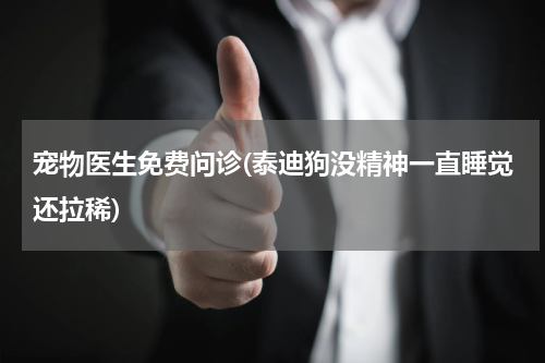 宠物医生免费问诊(泰迪狗没精神一直睡觉还拉稀)