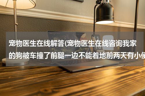 宠物医生在线解答(宠物医生在线咨询我家的狗被车撞了前腿一边不能着地前两天有小便,但有4天没大便,会吃精神也还好没发烧)