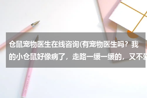 仓鼠宠物医生在线咨询(有宠物医生吗?我的小仓鼠好像病了,走路一缓一缓的,又不爱吃饭,整天一个人静静的趴着,我要怎么办啊?)