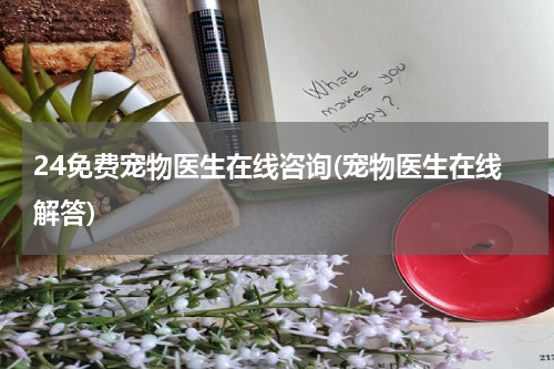 24免费宠物医生在线咨询(宠物医生在线解答)