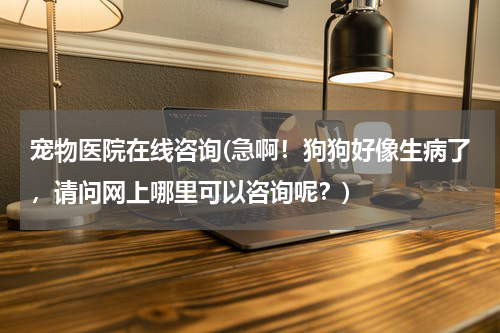 宠物医院在线咨询(急啊!狗狗好像生病了,请问网上哪里可以咨询呢?)